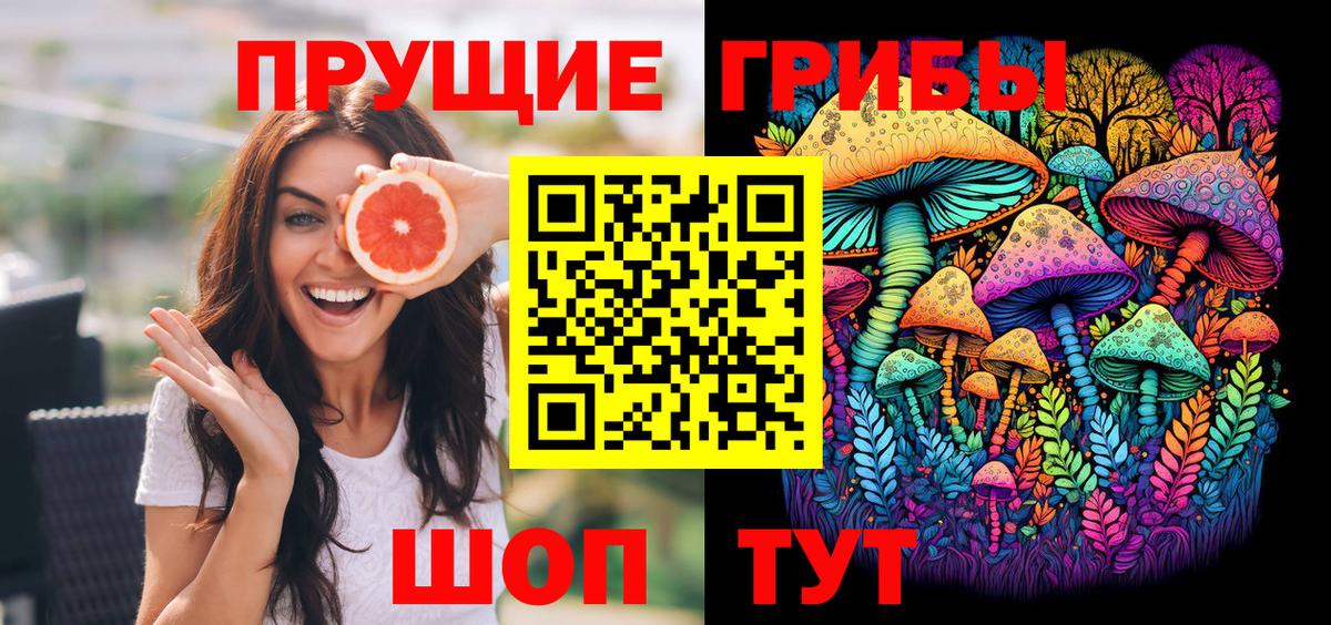 Шебекино  Псилоцибиновые грибы Psilocybe  Вход с VPN 